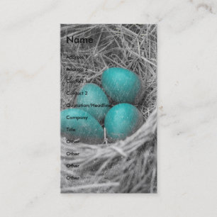 Robin Eggs Grunge Visitekaartje