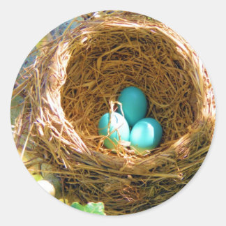 Robin Eggs in een backyard Tree Nest Ronde Sticker