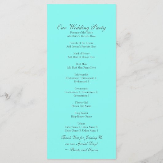 robin ' eicelblauwe turquoise aqua blue bruiloft programma (Achterkant)