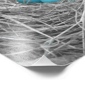 Robin eicellen foto afdruk (Hoek)