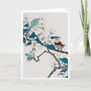 Robin en Cherry Blossom, Imao Keinen Kaart