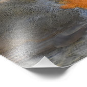 Robin Foto Afdruk (Hoek)