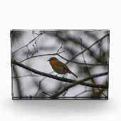 Robin  fotoblokken (Voorkant)