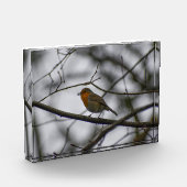 Robin  fotoblokken (Links)