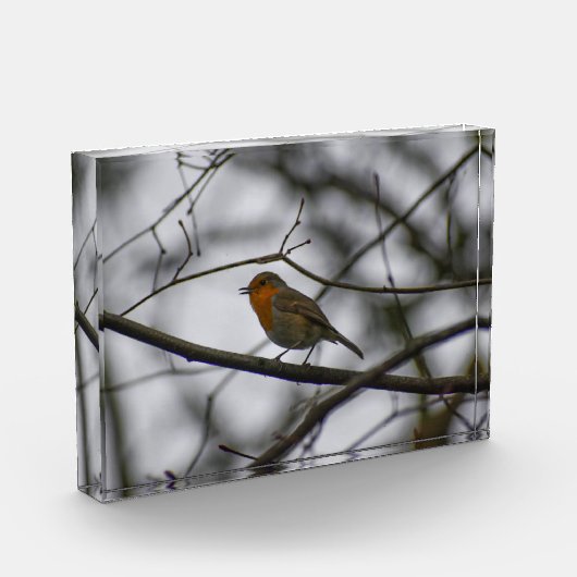 Robin  fotoblokken (Links)