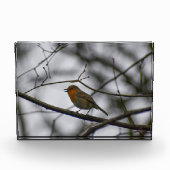 Robin fotoblokken (Voorkant)