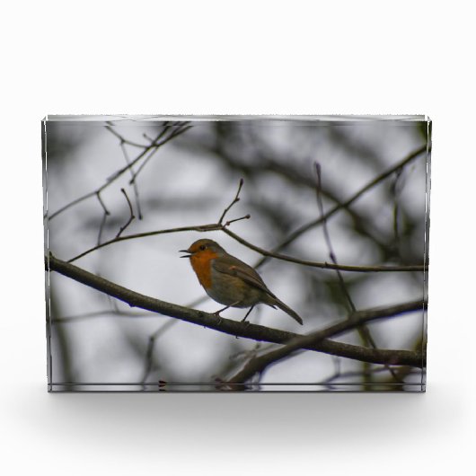 Robin  fotoblokken (Voorkant)