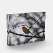 Robin  fotoblokken (Links)