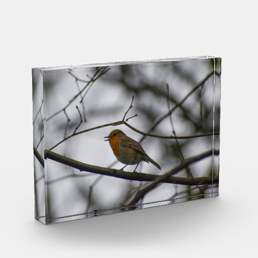 Robin fotoblokken (Links)