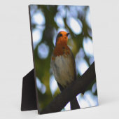 Robin Fotoplaat (Zijkant)