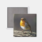 Robin Fridge Magnet (Recto/Verso)