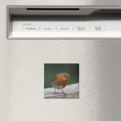 Robin Fridge Magnet Magneet (Insitu (Vaatwasser))