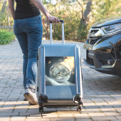 Robin Globe Vinyl Sticker (Valise Insitu)