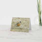 Robin Harbinger van Spring Kaart (Voorkant)