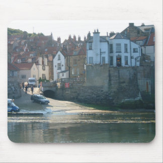 Robin Hoods Bay Muismat