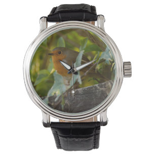Robin Horloge