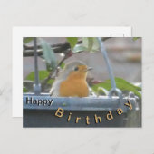 Robin in bloempot Verjaardagskaart Briefkaart (Voorkant / Achterkant)