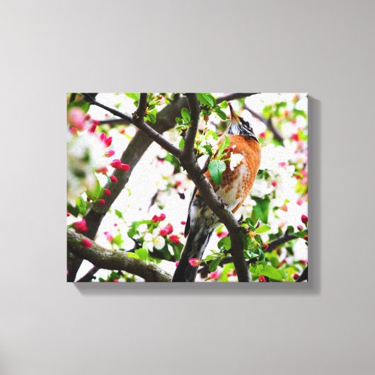 Robin in Blooming Crabapple Tree Print Canvas (Voorkant)