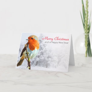 Robin in de Kaart van de winter