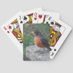  Robin in de tuin  Pokerkaarten