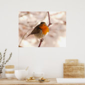 Robin in de winter poster (Keuken)