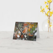 Robin in een boomblanco kaart (Gele Bloem)