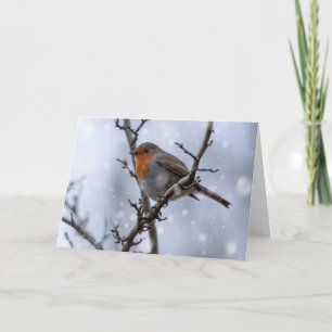 Robin in sneeuw kerstkaart kaart