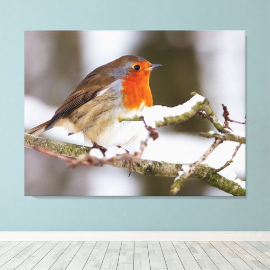 Robin in Snow Canvas Afdruk (Insitu (Houten vloer))