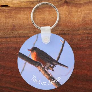 Robin in Snow Wildlife Natuur op persoonlijke tite Sleutelhanger