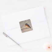 Robin in the Snow   Vierkante Sticker (Envelop)