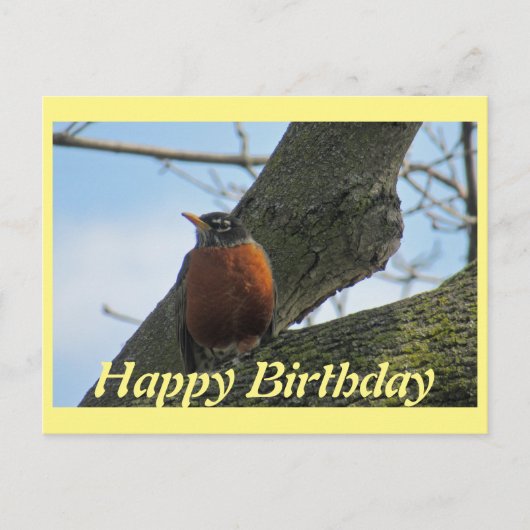 Robin in Tree Foto Verjaardag Briefkaart (Voorkant)