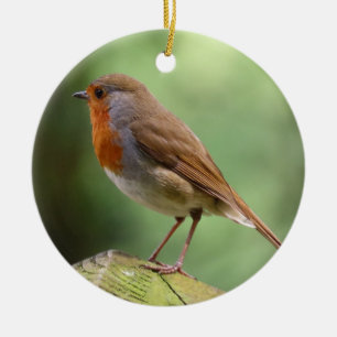 Robin keramische decoratie