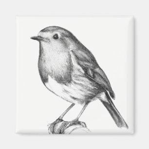 Robin kerst magneet