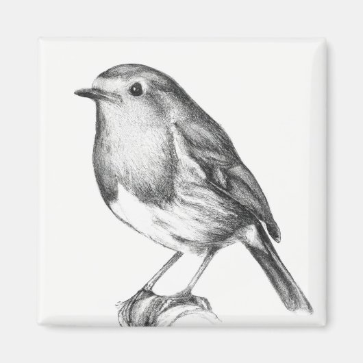 Robin kerst magneet (Voorkant)