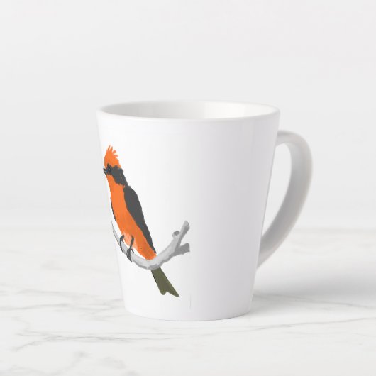 Robin Latte Mok (Rechterhoek)