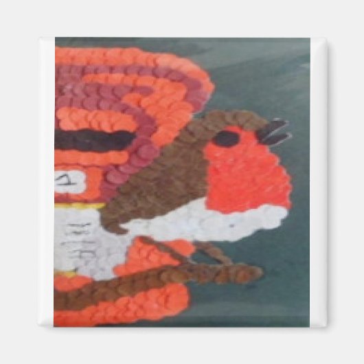 Robin Magneet (Voorkant)