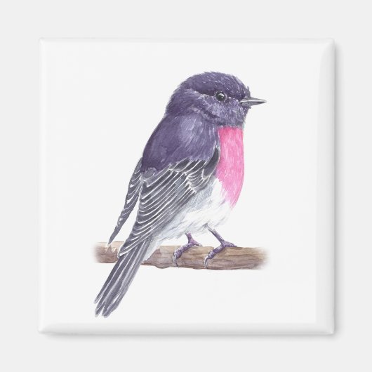 Robin Magneet (Voorkant)