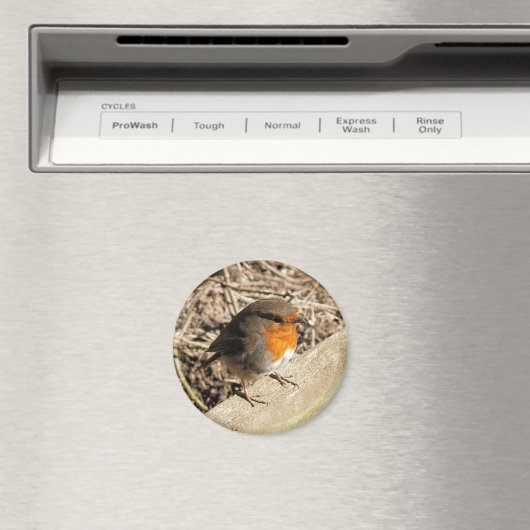 ROBIN MAGNEET (Insitu (Vaatwasser))