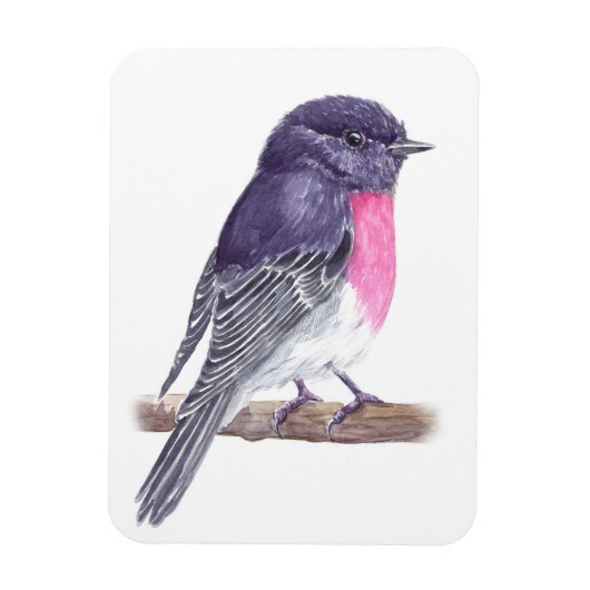 Robin Magneet (Verticaal)