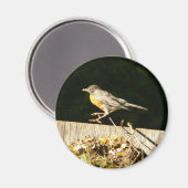 Robin Magneet (Voorkant / Achterkant)