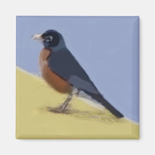 Robin Magneet (Voorkant)