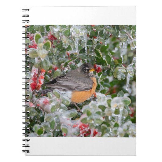 Robin met Kerstmis Notitieboek (Voorkant)