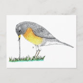 Robin met Worm Briefkaart (Voorkant)
