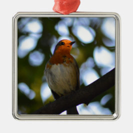 Robin Metalen Ornament