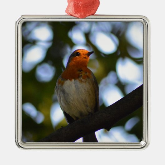 Robin Metalen Ornament (Voorkant)