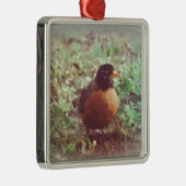 Robin Metalen Ornament (Rechts)