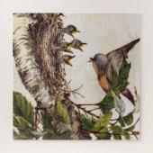 Robin moeder vogel voedt broed in het nest legpuzzel (Horizontaal)