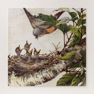 Robin moeder vogel voedt broed in het nest legpuzzel