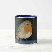 Robin Mok #2 (Midden)