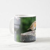 Robin Mug (Devant gauche)